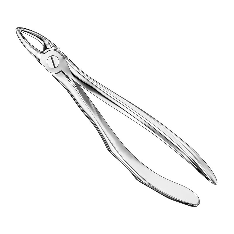 Extracting forceps, anat.