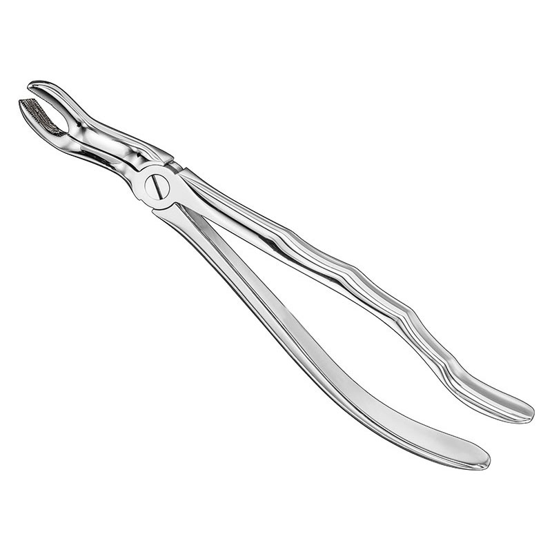 Extracting forceps, anat.