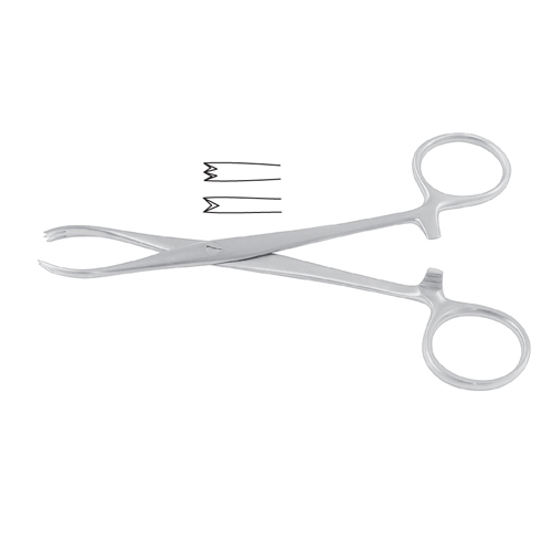 Chaput Haemostatic Forcep